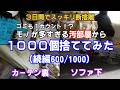 【汚部屋片付け】続編：600/1000個　3日で1000個捨てたらスッキリ感がヤバかった!足の踏み場もない汚部屋が超スッキリ [断捨離]