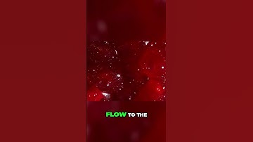 Unlock the Power of Pomegranate Juice for Improved Performance