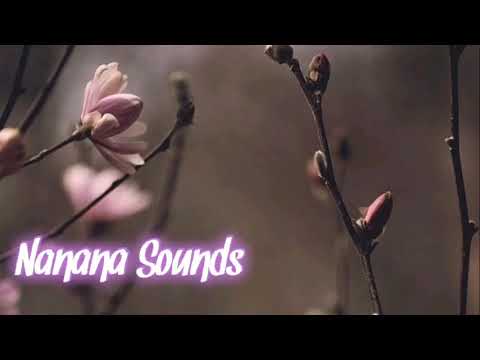 popular-background-music-2020-for-travel-vlog-"miles"-by-nanana-sounds
