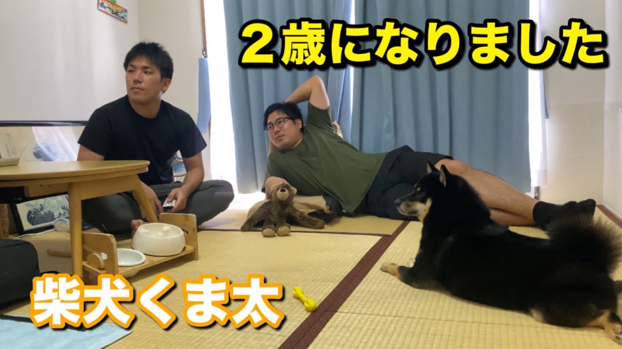 くま太 maxresdefault.jpg