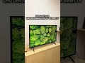 Samsung Crystal UHD UN43U8600FGXZD 43" 4K Smart TV #rewells #shortsviral #shorts