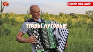 Травы луговые/ Евгений Попов - баянист/ Песни под баян.