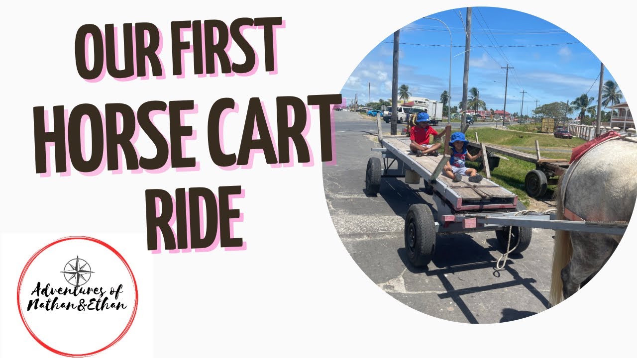 Our First Horse Cart Ride Guyana Vlog YouTube