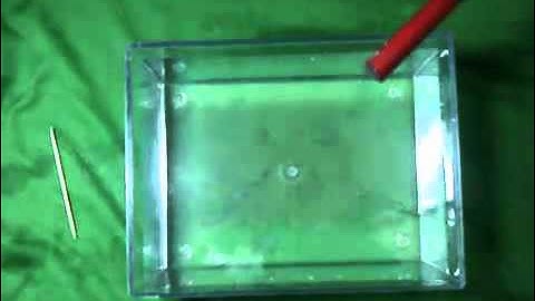 BÀI 37. CÁC HIỆN TƯỢNG BỀ MẶT CỦA CHẤT LỎNG.mp4