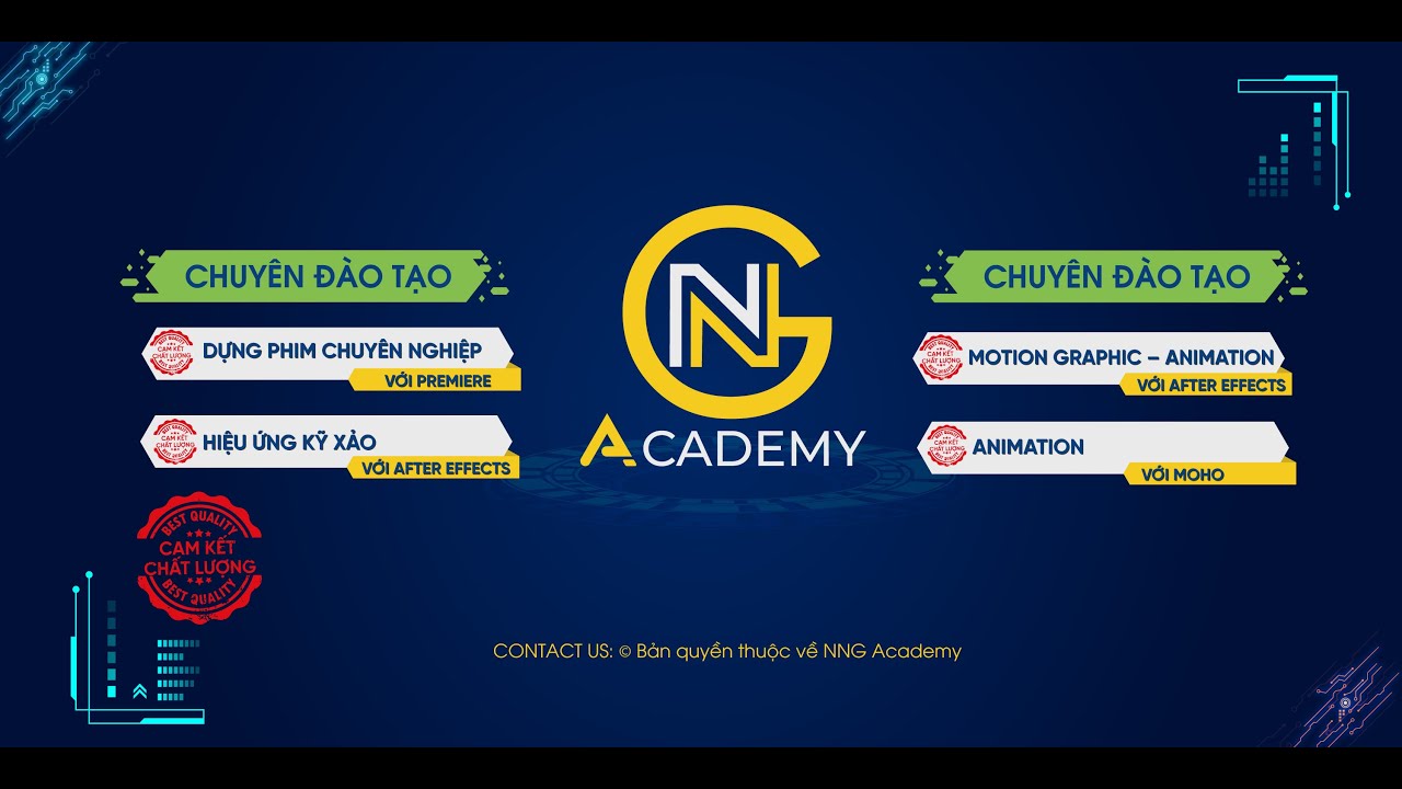 Tất cả video