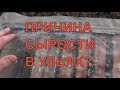 Почему появляется сырость в ульях?