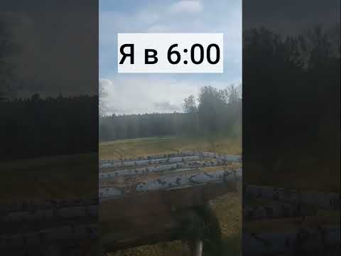 #мтз #лето