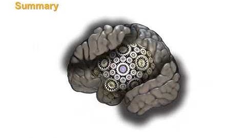 Disrupted dynamic network reconfiguration of the language system in temporal lobe epilepsy