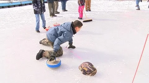WBRE News  Camp Minsi 2022 Winter IceFest