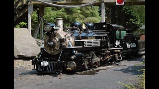 LOCOMOTIVES OF THE FOREST RAILROAD THEME PARK AT DOBWALLS