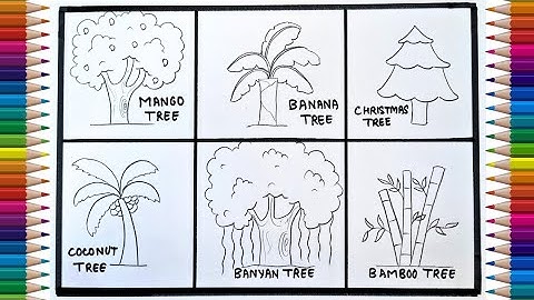 Different Types of Trees Drawing | Mango Tree, Banana Tree, Coconut Tree, Banyan Tree, Bamboo Tree