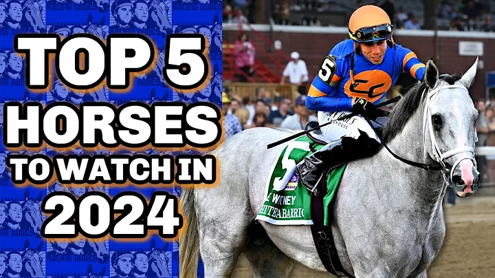 Top 5 Horses To Watch In 2024 - DayDayNews