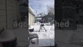 Snowy yoga sped up! #mindfullmovementchallenge