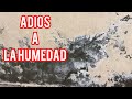 DIY eliminar la humedad y el salitre del hogar / remove moisture and salt from the home