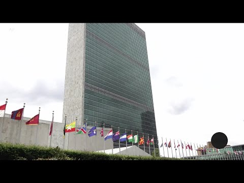 Few Alternatives For UN Funding As US Withdraws Support VOA News
