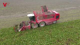 Turbines or a rollerbed? Both possible at Vervaet! Beet Harvesting with Beet Eater EVO (Rollerbed)