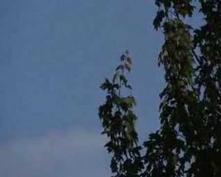 XH-A1 Divx Compression Test