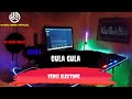 Lagu dangdut versi electone || Gula gula || Nr sound musik