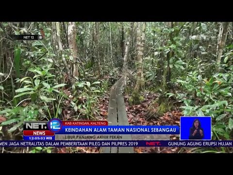 Video: 12 Taman Nasional Terbaik di Kalimantan