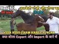 गैरी भाई ने क्या बोला Export और Import की बात पर - Veer Stud Farm Krali (Punjab)