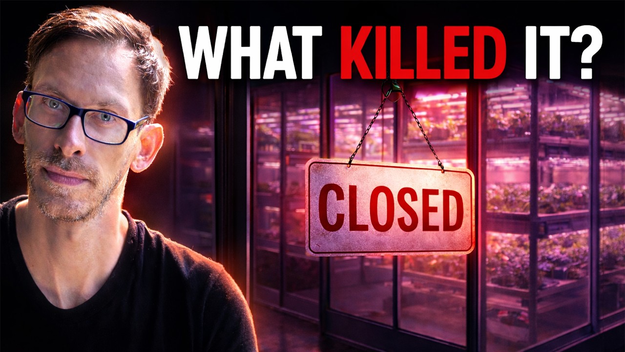 Что погубило вертикальное земледелие?