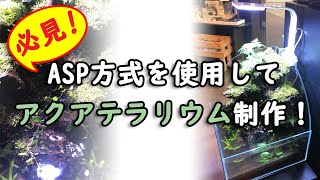 必見！アクアテラリウム制作【アクアシステム】
