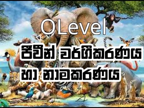 ජීවීන් වර්ගීකරණය හා නාම කරණය(පළමු කොටස ) OLevel Science