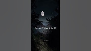 ￼ ‏القارئ أسامة الخلطي