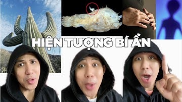 Những Hiện Tượng Bí Ẩn Nhất Thế Giới | Điều thú vị có thể bạn chưa biết (P171-180)