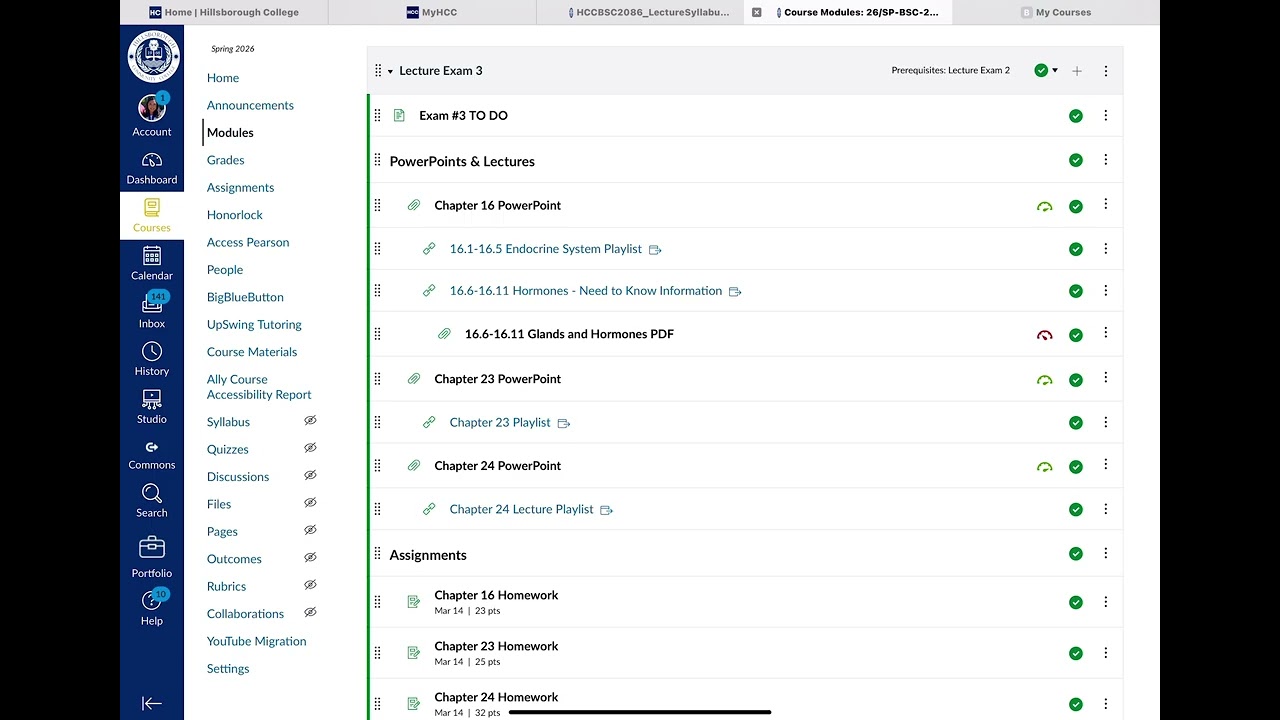Обзор экзамена по лекциям BSC2086-10653, часть 3.