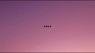 Novo Amor_(Birthplace)_Lirik terjemah Indonesia #novoamor #birthplace