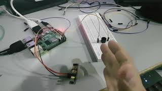 Motion Sensor interface with Rasberrypi 4 with python code.