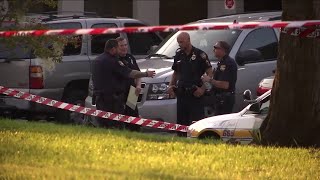 Effectiveness of Crime-Fighting Systems