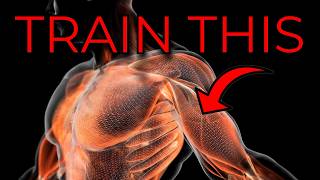 How To Train Your Fascia (Guide According To Science) screenshot 3