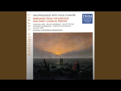 Concerto in G major (for Viola d'amore, Oboe d'amore & Bassoon) : Allegro