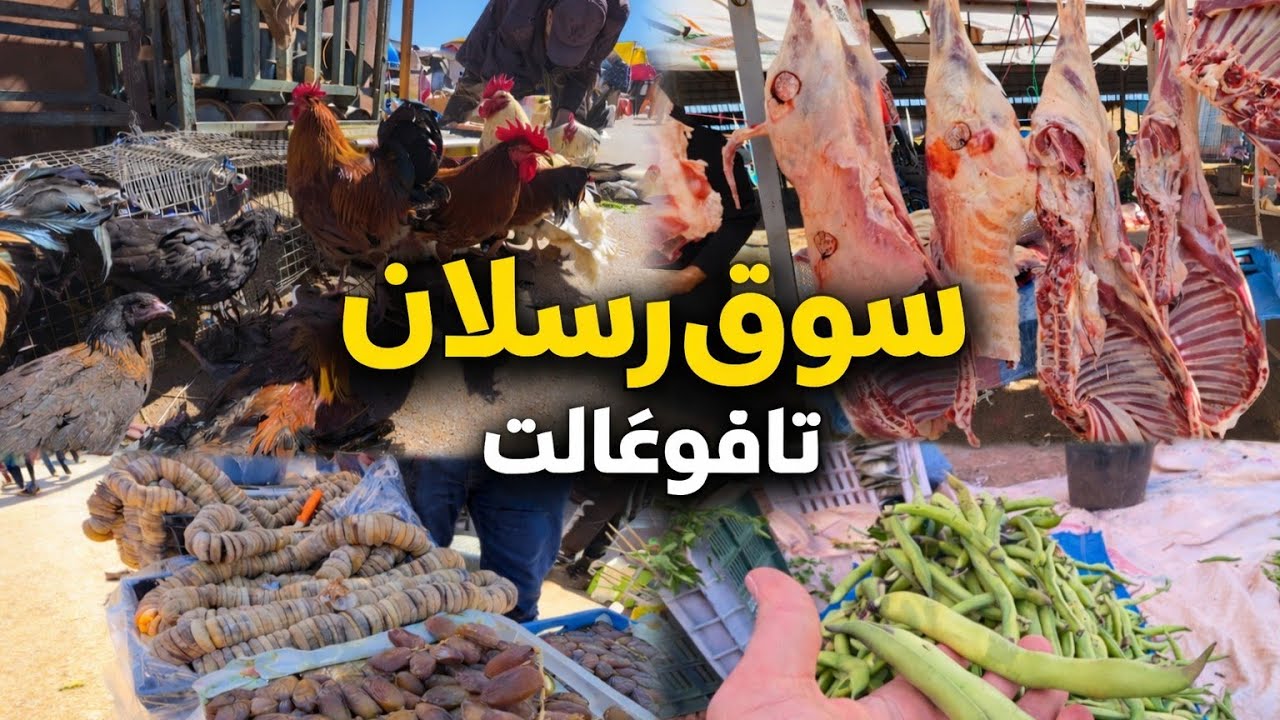 سوق رسلان تافوغالت 🔥 أسعار الخضر واللحم اليوم 