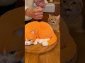 Will my pet freak out when I slice its look alike cake  #pet #petcake #petreaction