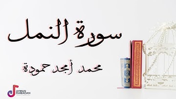 سورة النمل || محمد أمجد حمودة