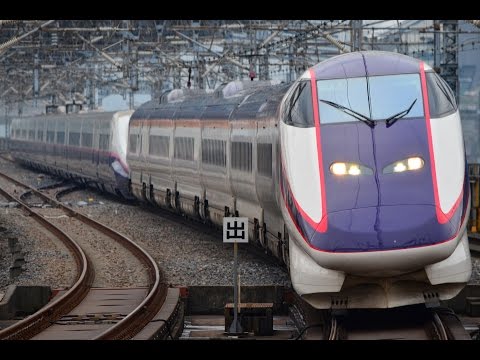 E3系+E2系【やまびこ・つばさ145号】　大宮駅17番線到着