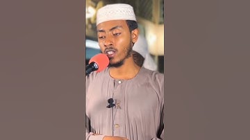 سورة الأحقاف بصوت عفيف محمد تاج