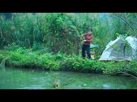 24-Hour Swamp Camping & Fishing Challenge