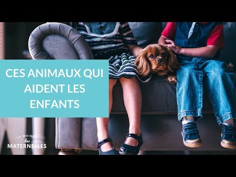 Vidéo: Enfants Et Animaux De Compagnie : Le Partage Du Lit Est-il Sûr ?