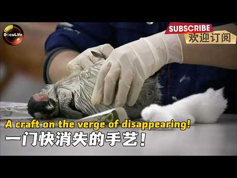 This skill has been passed down for six generations! 这门手艺已经传了六代人！