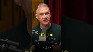 Polyphenols The Brain-Boosting Secret You Need To Know