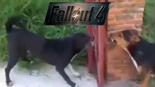 The Fallout 4 unarmed experience