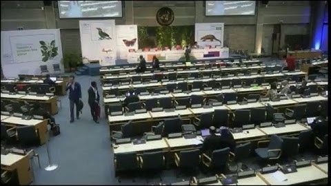 UNEA-3: High Level Segment Opening Ceremony - English Language