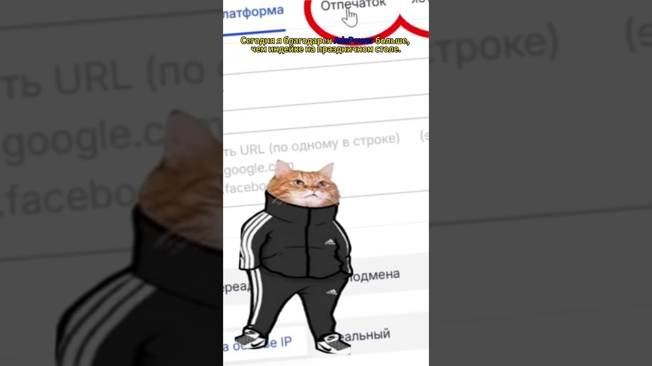 ⚡️ Сегодня я благодарен 