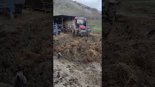 İnek Ahır Temizlik Traktör