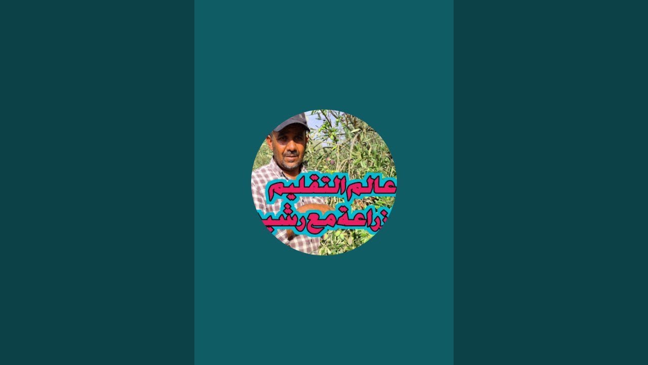 علاش زيتون رخص في الثمن اشتو السبب - YouTube