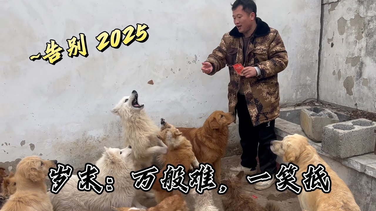 告別2025：千難萬難，不及跨年時的壹張暖心笑臉